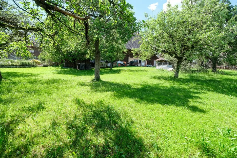 Farmhouse with 2 apartments on 3'935 m2 – photo 19 of 20