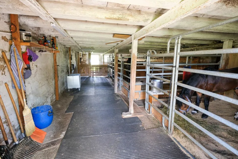 Farmhouse with 2 apartments on 3'935 m2 – photo 10 of 20