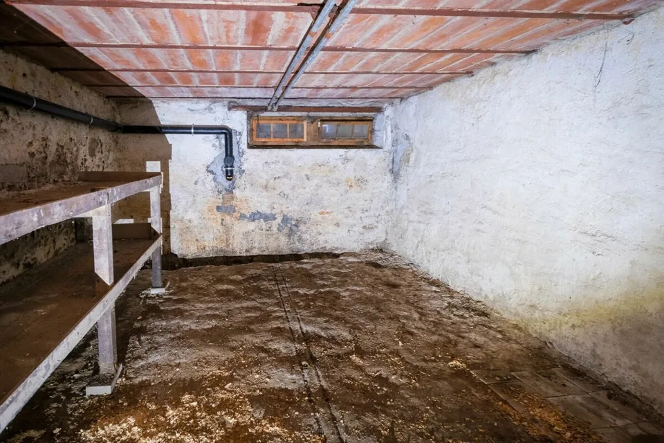 Farmhouse with 2 apartments on 3'935 m2 – photo 11 of 20