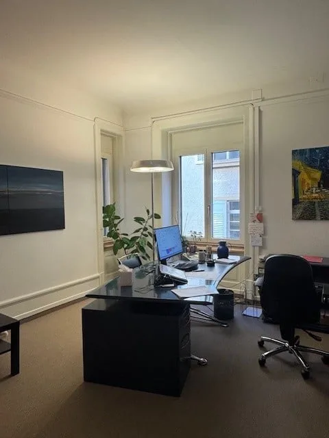 Cercate un appartamento di ufficio elegante e garantito anti-furto nel cuore di Zurigo?
