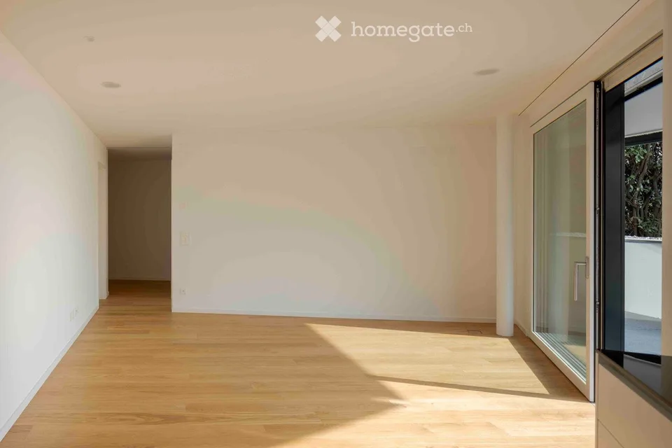 SUBINGRESSO: Splendido e moderno 2.5 / 3 locali con vista