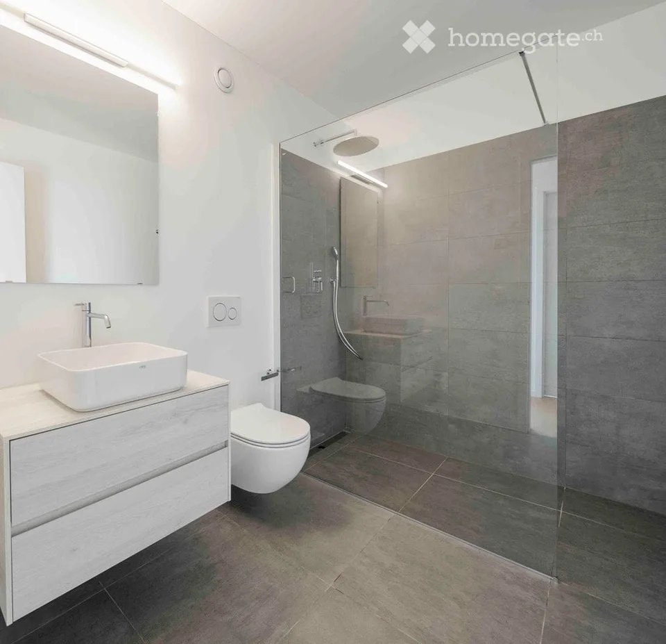 SUBINGRESSO: Splendido e moderno 2.5 / 3 locali con vista