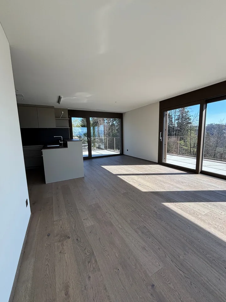 Prima locazione appartamento mansardato 2,5 locali in zona tranquilla con 2 terrazze (78m2)