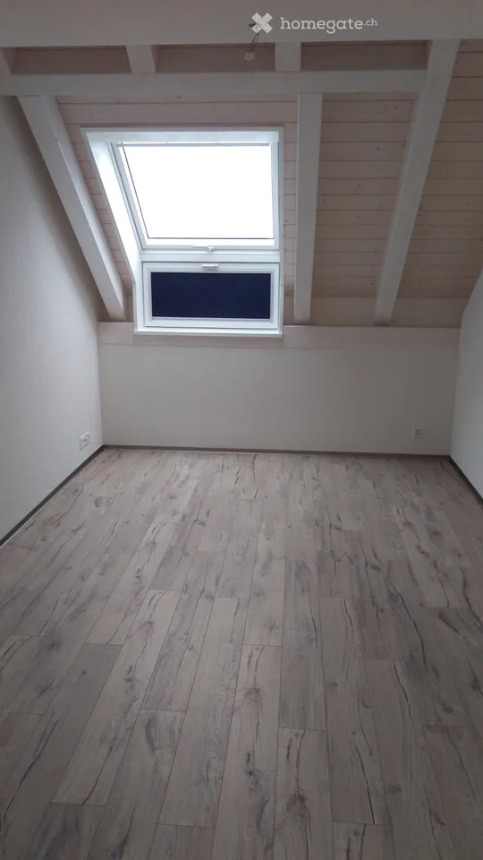 5 ½ Room Duplex Apartment 176m2 Owner-Occupied Standard