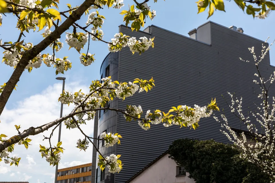 Multifunktionale Büro- und Gewerberäume inkl. Tiefgarage im Dreispitzareal in Basel