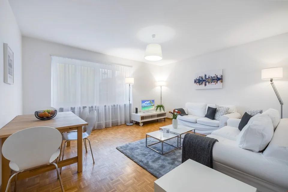 Light 2-room flat near Schützenmatt Park