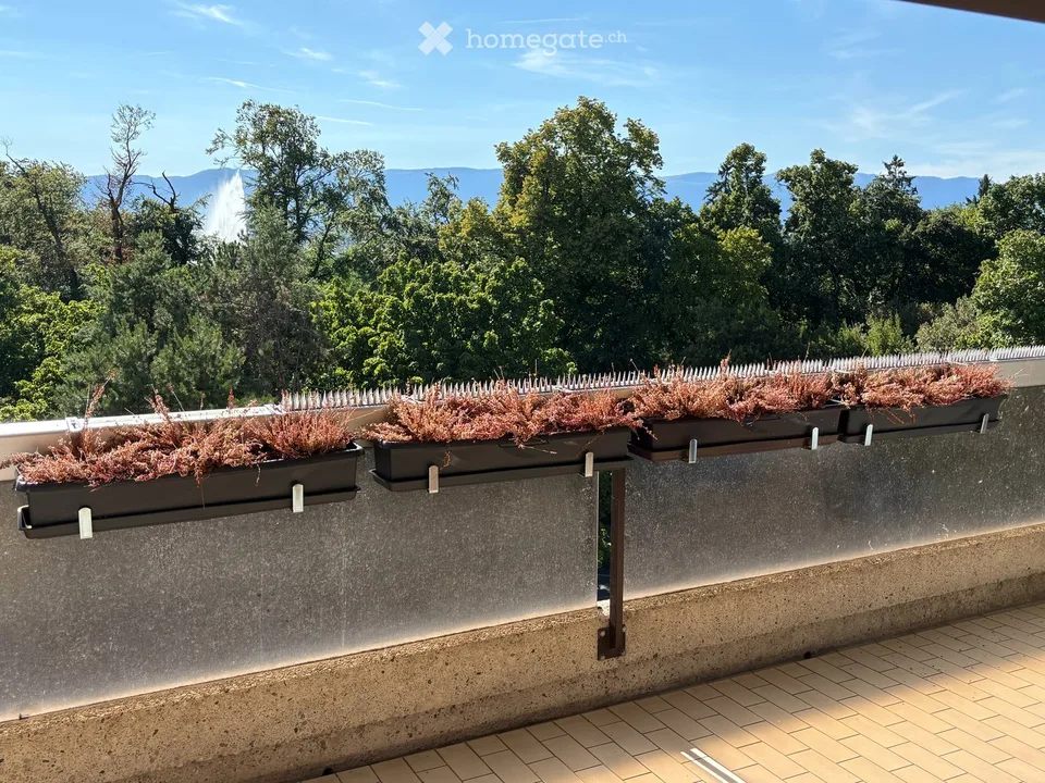 Spacious 4.5-Room Apartment with Balcony and Stunning Views facing Parc La Grange