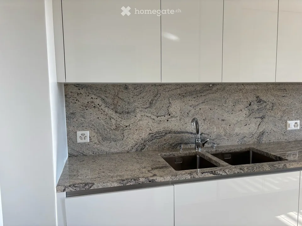 Spacious 4.5-Room Apartment with Balcony and Stunning Views facing Parc La Grange