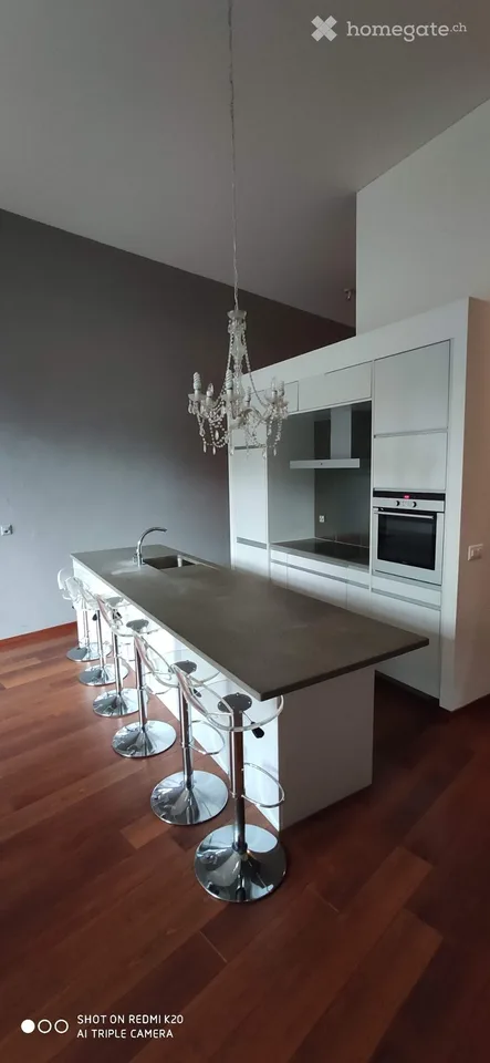 Magnifique Loft au centre de Lausanne