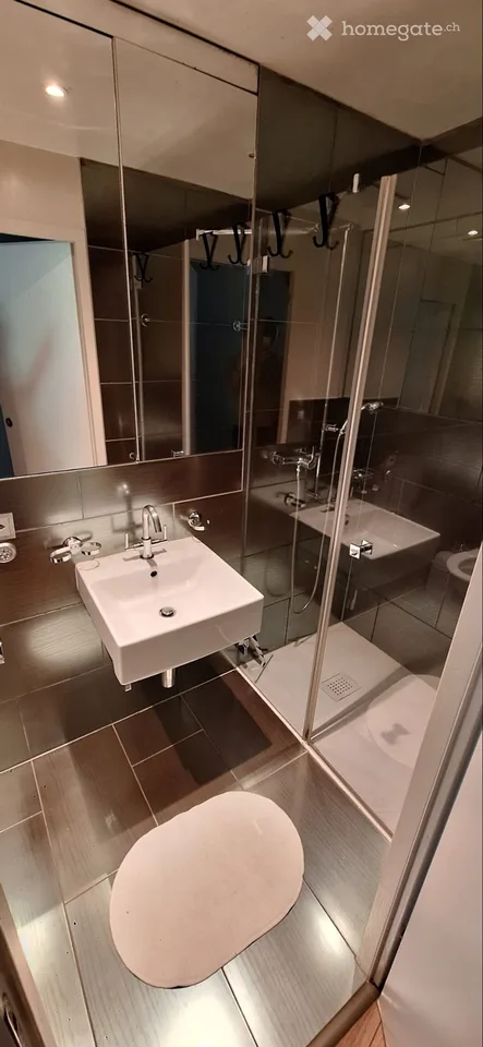 Magnifique Loft au centre de Lausanne