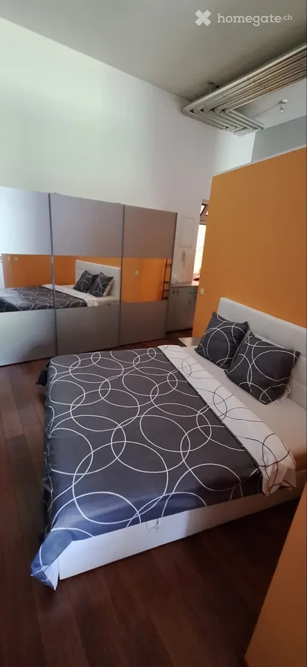 Magnifique Loft au centre de Lausanne