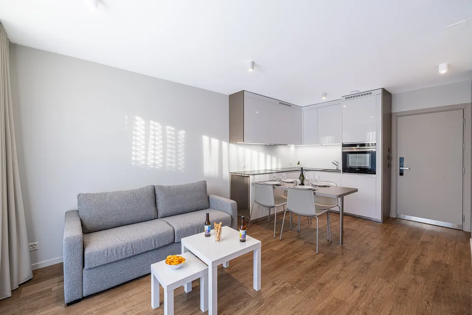 Deluxe Studio – Brand New and Fully Furnished – Rue du Jura 13, Geneva!