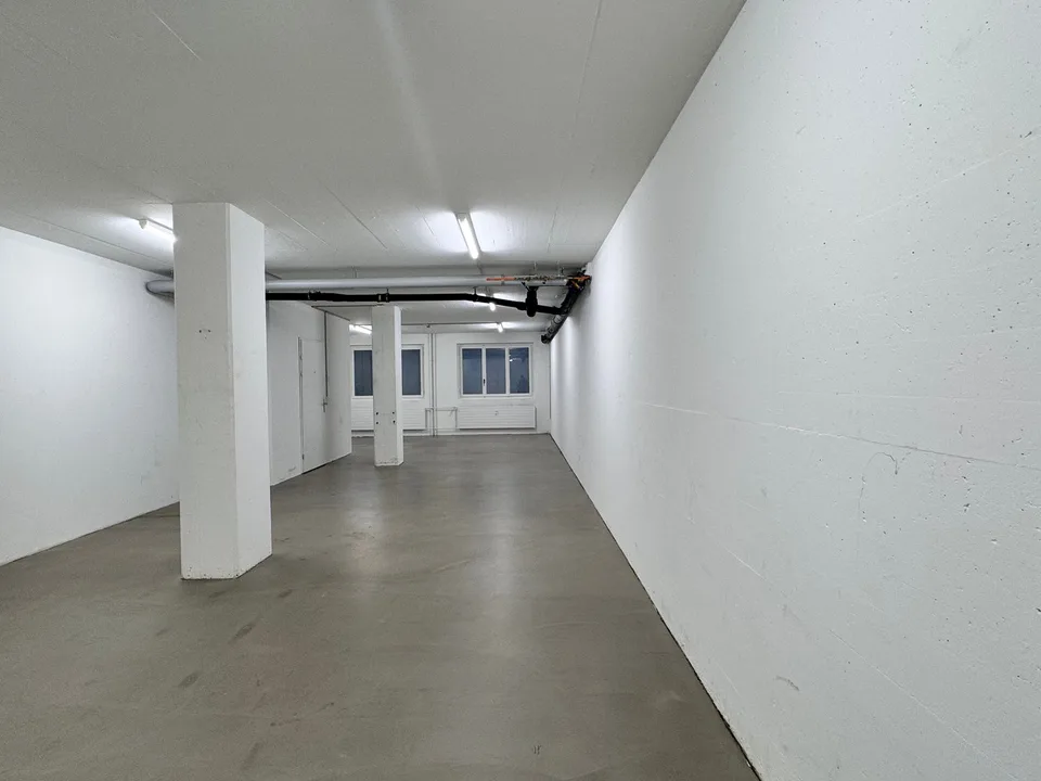 Local de stockage (73m2) à louer dans le quartier de Marzili