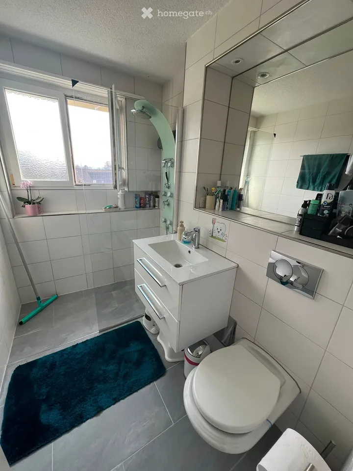 Appartement 4.5 pièces à Erlinsbach SO
