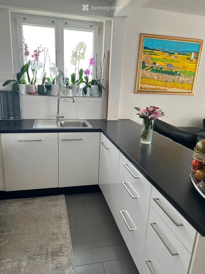 Appartement 4.5 pièces à Erlinsbach SO