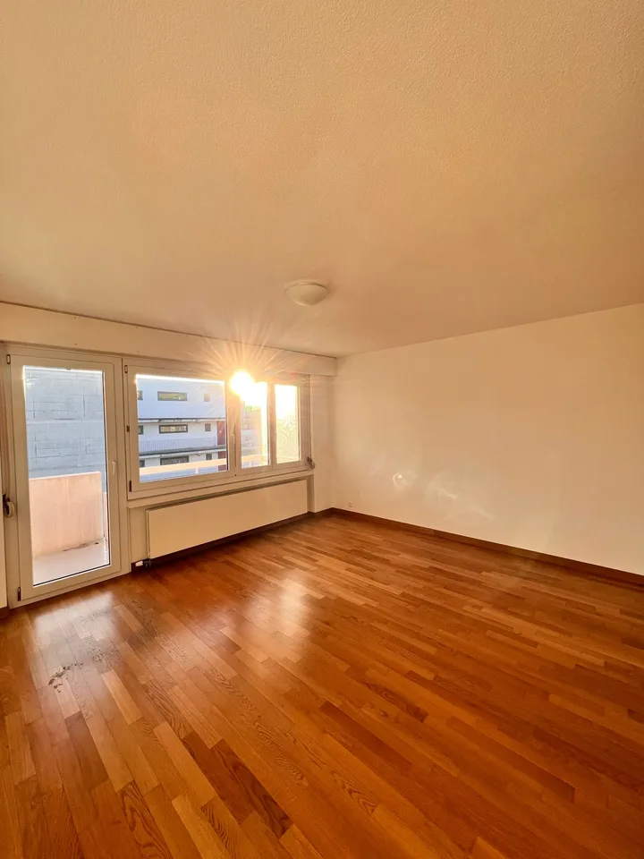 Gemütliche 1-Zimmer-Wohnung mit Balkon in Büron