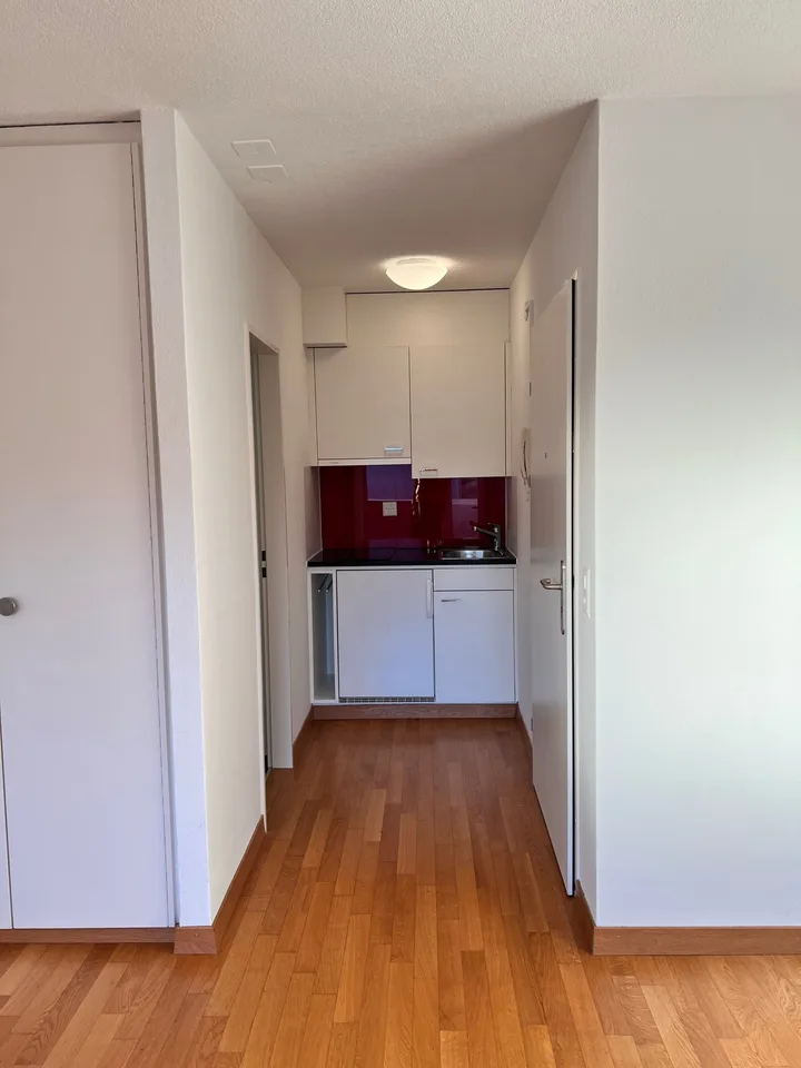 Gemütliche 1-Zimmer-Wohnung mit Balkon in Büron