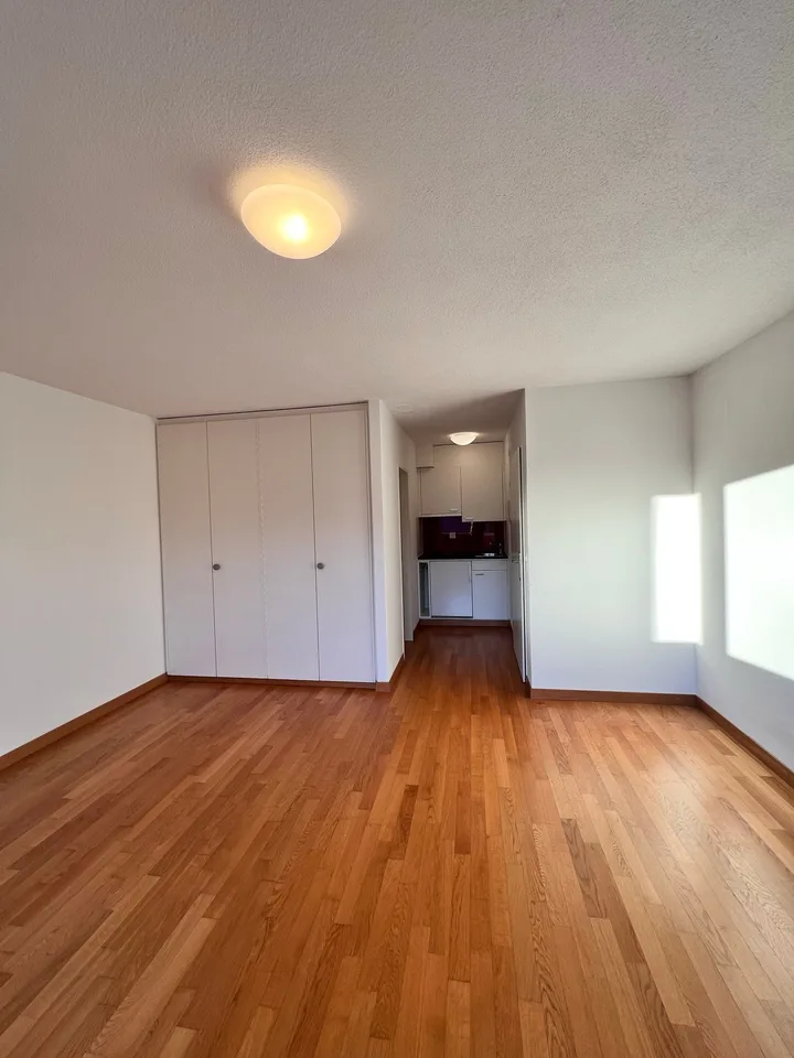 Gemütliche 1-Zimmer-Wohnung mit Balkon in Büron