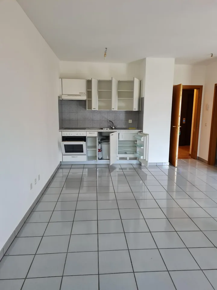 Accogliente appartamento di 1.5 locali a Bellinzona