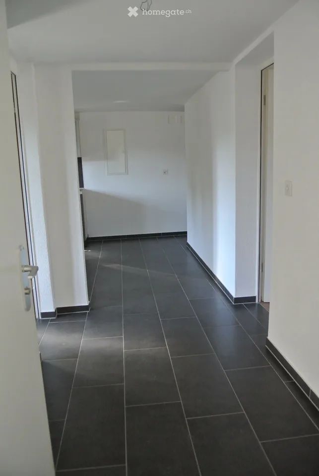 Appartamento carino e spazioso di 2,5 locali in un edificio storico ristrutturato con balcone a Münchwilen TG