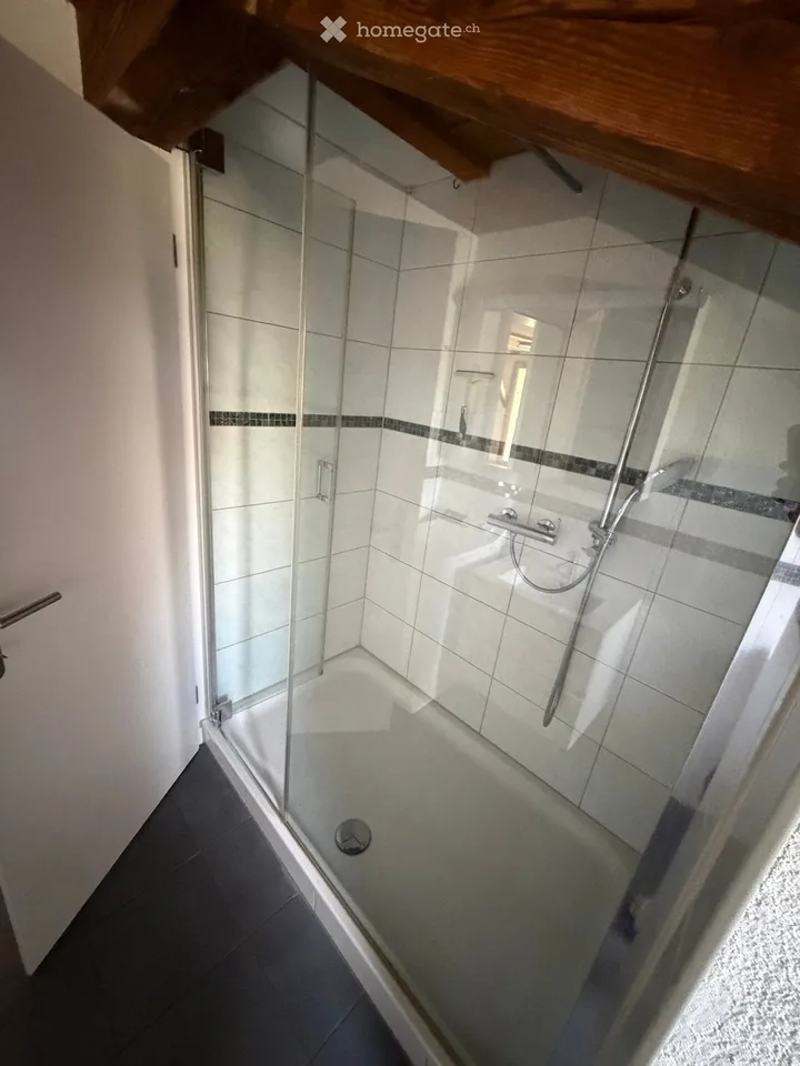 Wohnung 3.5