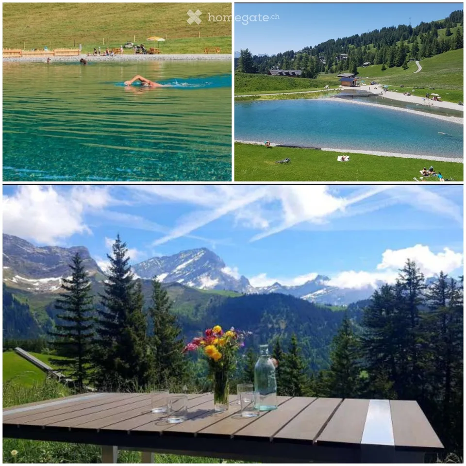 Vacances pour le ski, randonnée, bike ou baignade!