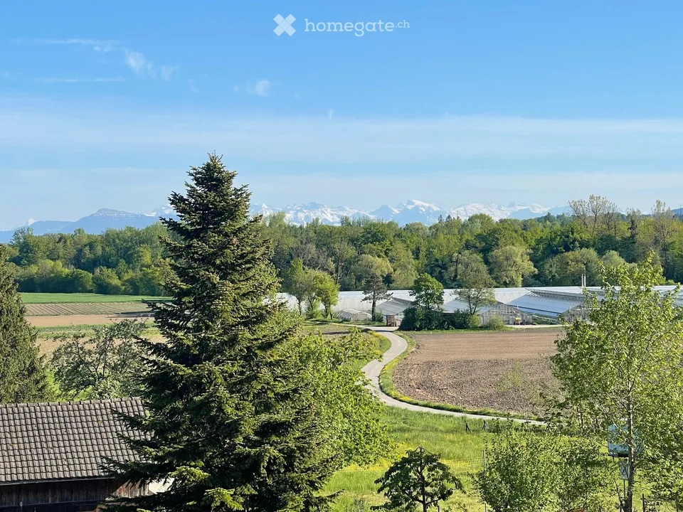 Erstbezug: Neue 2.5, 3.5, 4.5, 5,5-Zi-Wohnungen mit Terrasse/Balkon mit freier Aussicht in Eggenwil