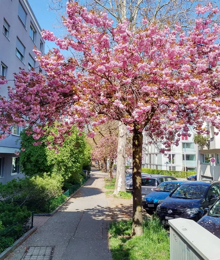 Helle 3-Zimmer-Wohnung mit grosser Dachterrasse in Zürich-Oerlikon