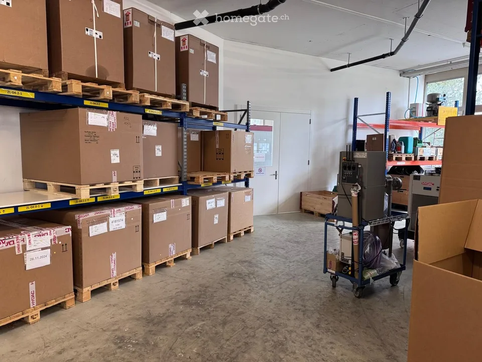 Espace commercial flexible au 11 Allmendstrasse à Steinhausen