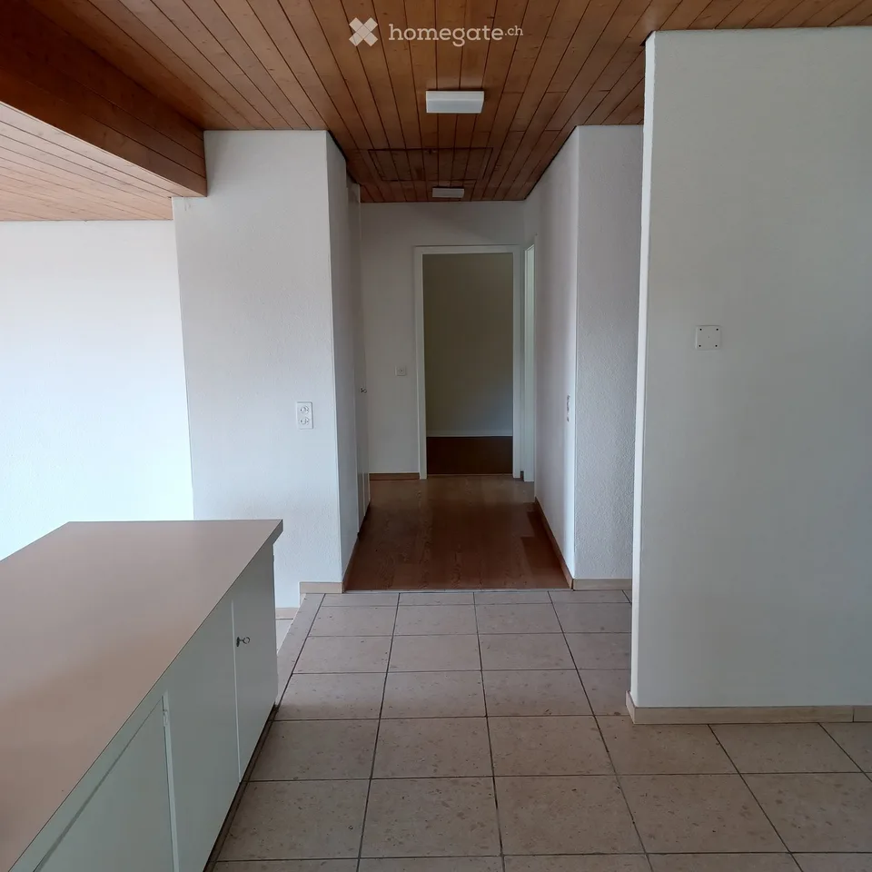 Appartamento da sogno di 3,5 locali in una casa bifamiliare indipendente con vista e giardino a 8903 (ZH)