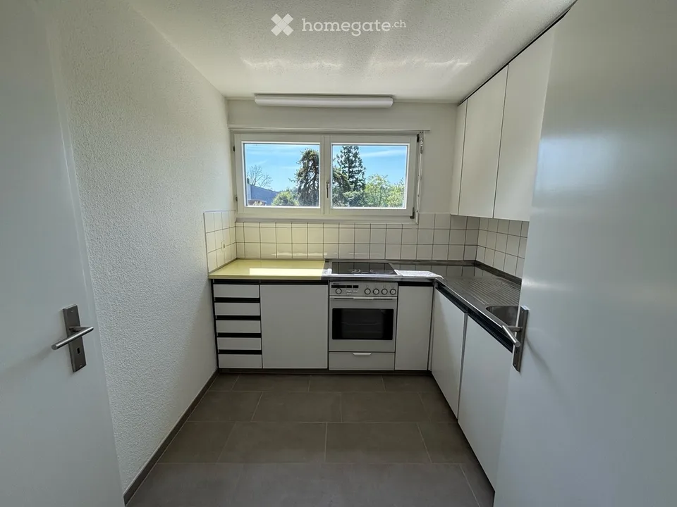 Appartamento da sogno di 3,5 locali in una casa bifamiliare indipendente con vista e giardino a 8903 (ZH)