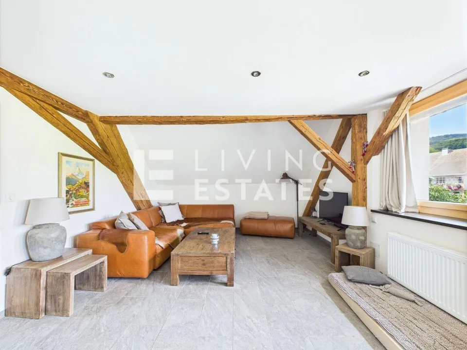ALPINE CHIC. TOPMODERN. VIEL PLATZ.