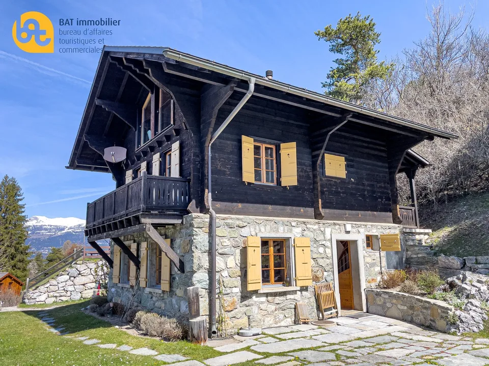 Chalet "Alma" avec vue panoramique  - location touristique