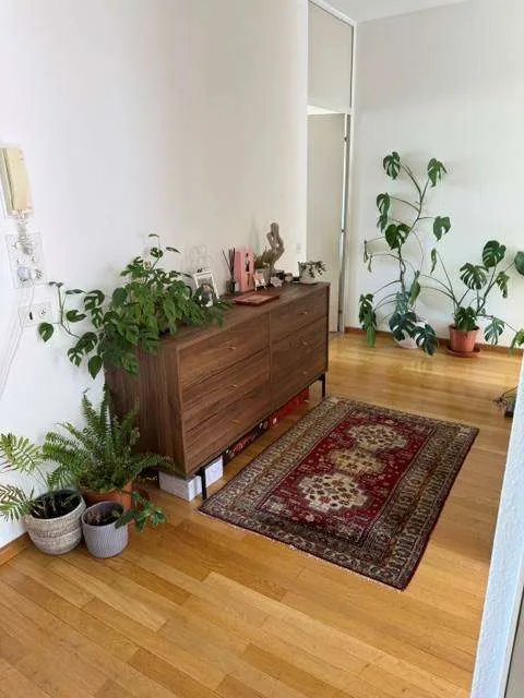 Appartement spacieux et lumineux de 2.5 pièces