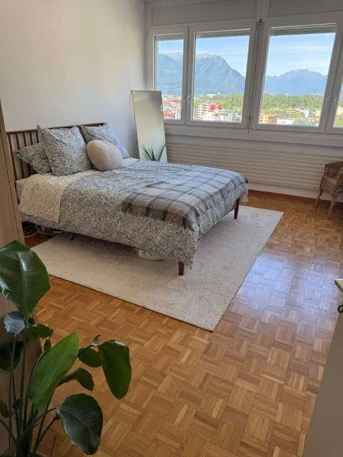 Ampio e Luminoso appartamento di 2.5 locali – foto 7 di 8