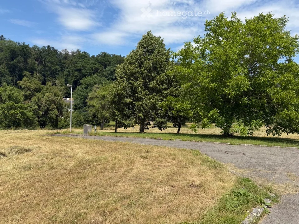 Terrain à bâtir viabilisé CHF 60.-m² avec belle vue à Basse-Vendline