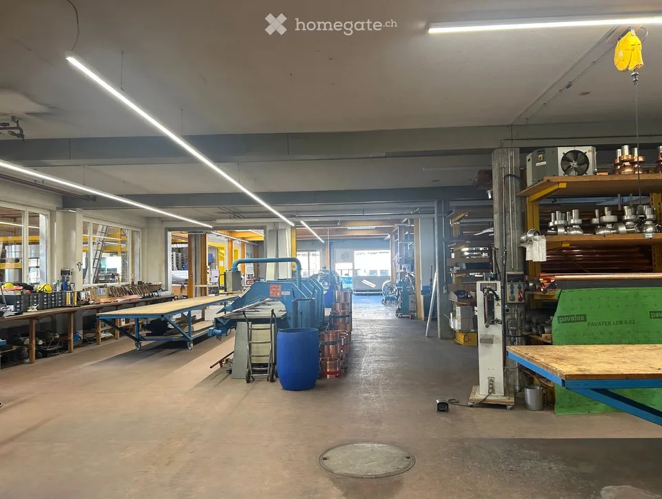 Propriété commerciale - bâtiment d'atelier à Schötz