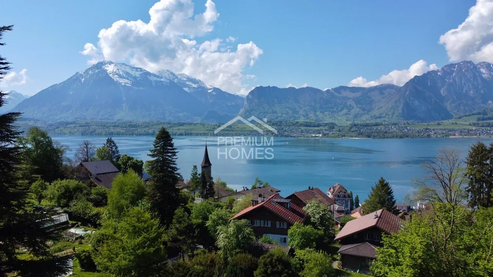 Una volta Riviera, sempre Riviera - La tua casa sul lago di Thun!