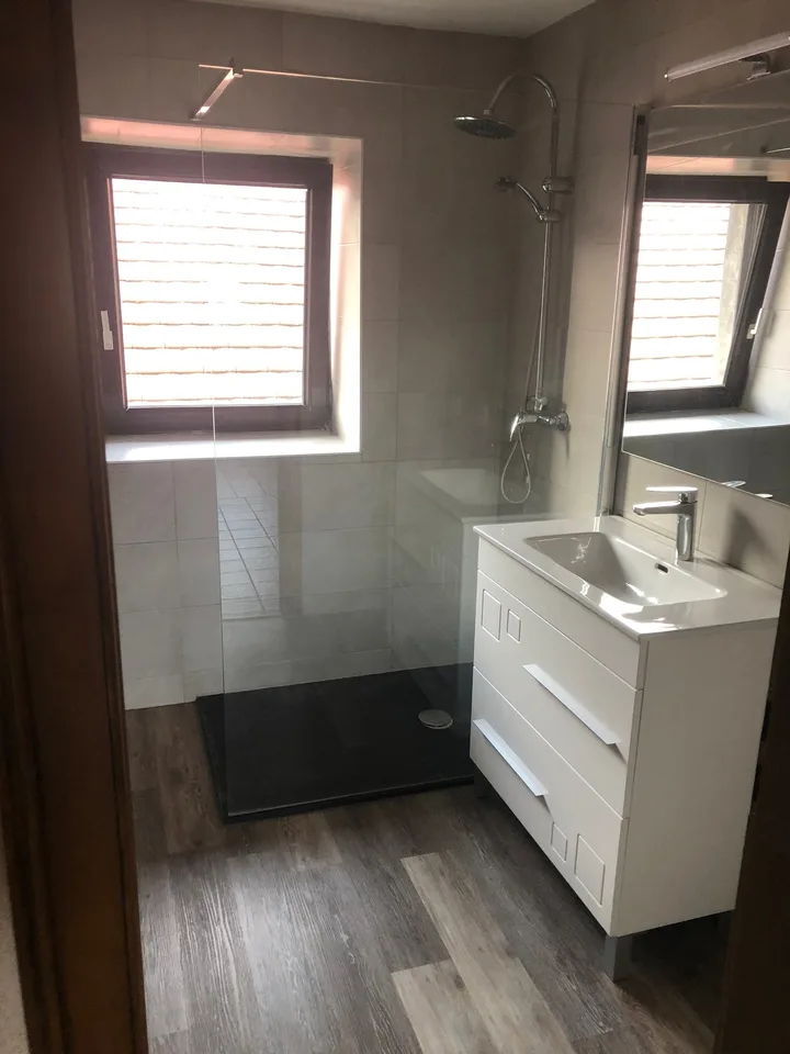 Selten im Sundgau (20min von Basel) Charme-Eigentum 263m² auf 3,4 Hektar mit 3 Wohnungen