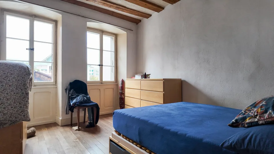 Für Investoren! 3 Apartments und 1 Gewerberaum