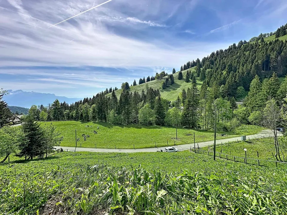 Chalet in Orgevaux/Montreux