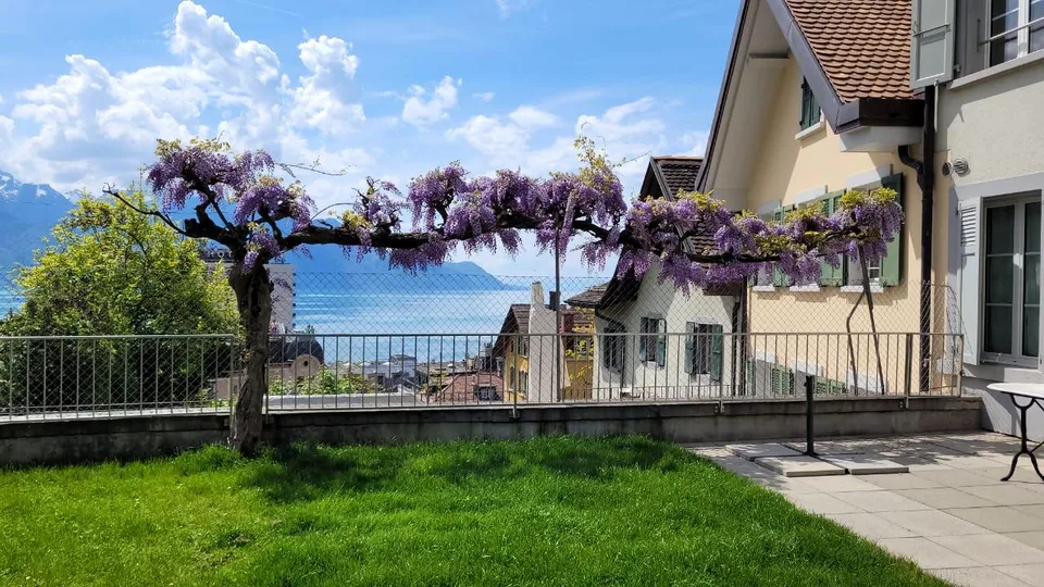 Splendide appartement avec vue panoramique imprenable sur le lac Léman et les montagnes