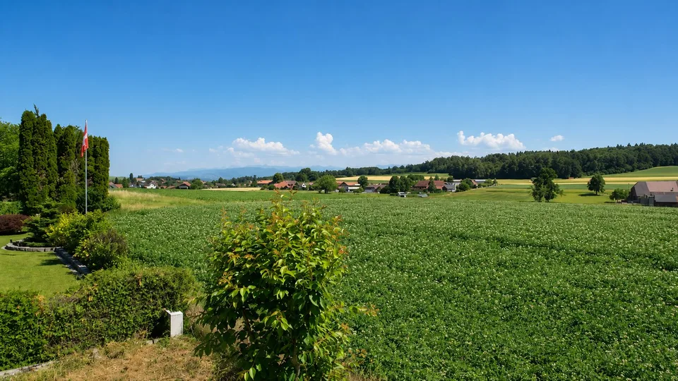 Charming single-family house in Guschelmuth – living with a far-reaching view and tranquility – photo 6 of 14