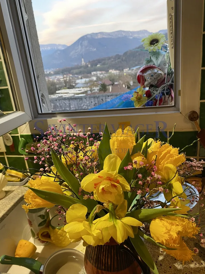 VIAGER. ANNECY. Vue panoramique. 2 Garages inclus. Terrasse 27m2