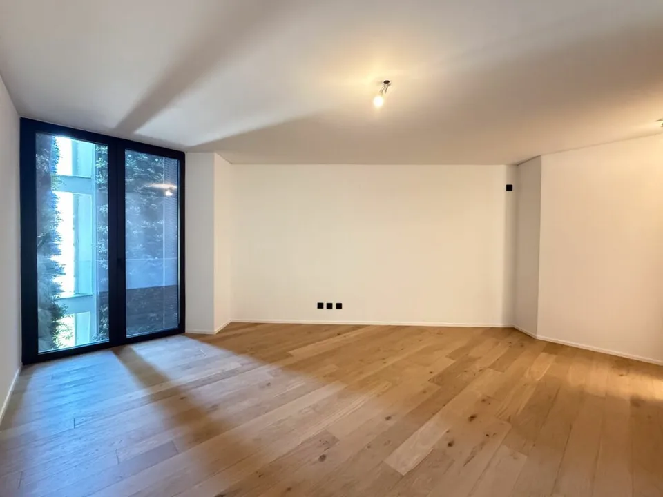 2.5 locali a Paradiso - nuova costruzione – foto 6 di 13