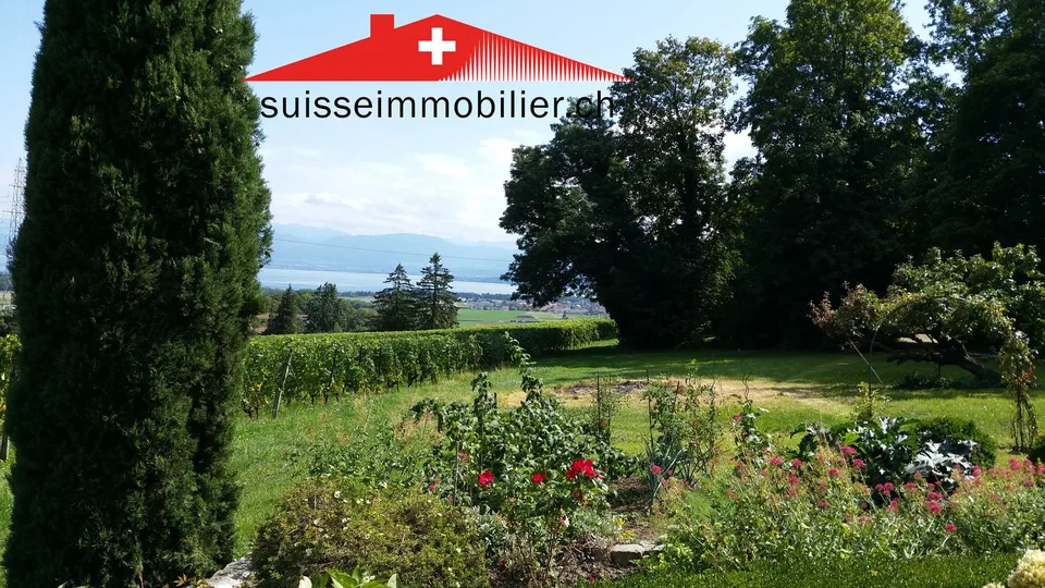 Vieux château avec un parc de 10 500 m², nouveau prix de vente !