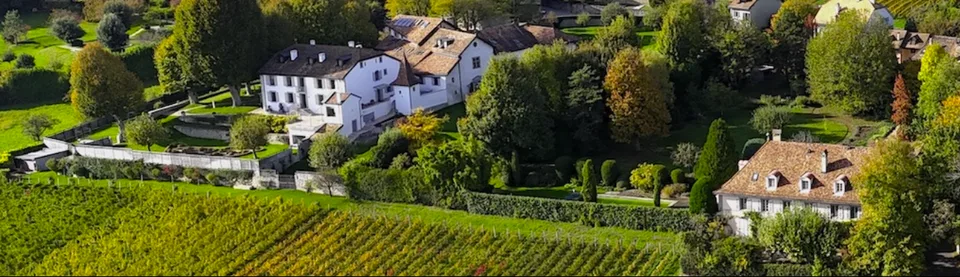 Vecchio castello con un parco di 10 500 m², nuovo prezzo di vendita!