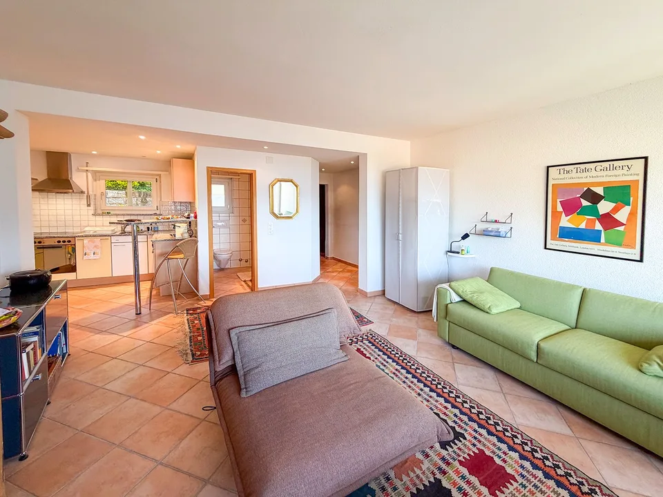Charmante 1.5-Zimmer-Wohnung mit Panoramablick in Orselina