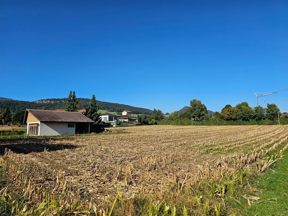 Attraktives Bauland an toller Wohnlage – Foto 6 von 9