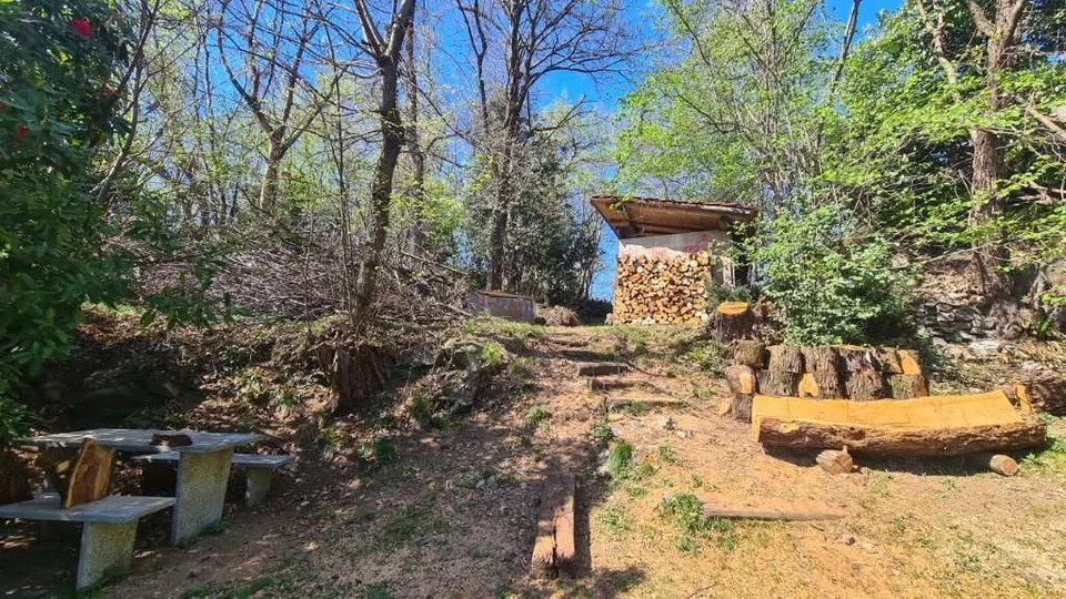 Schönes Haus mit Seeblick und großem Grundstück – Foto 9 von 12